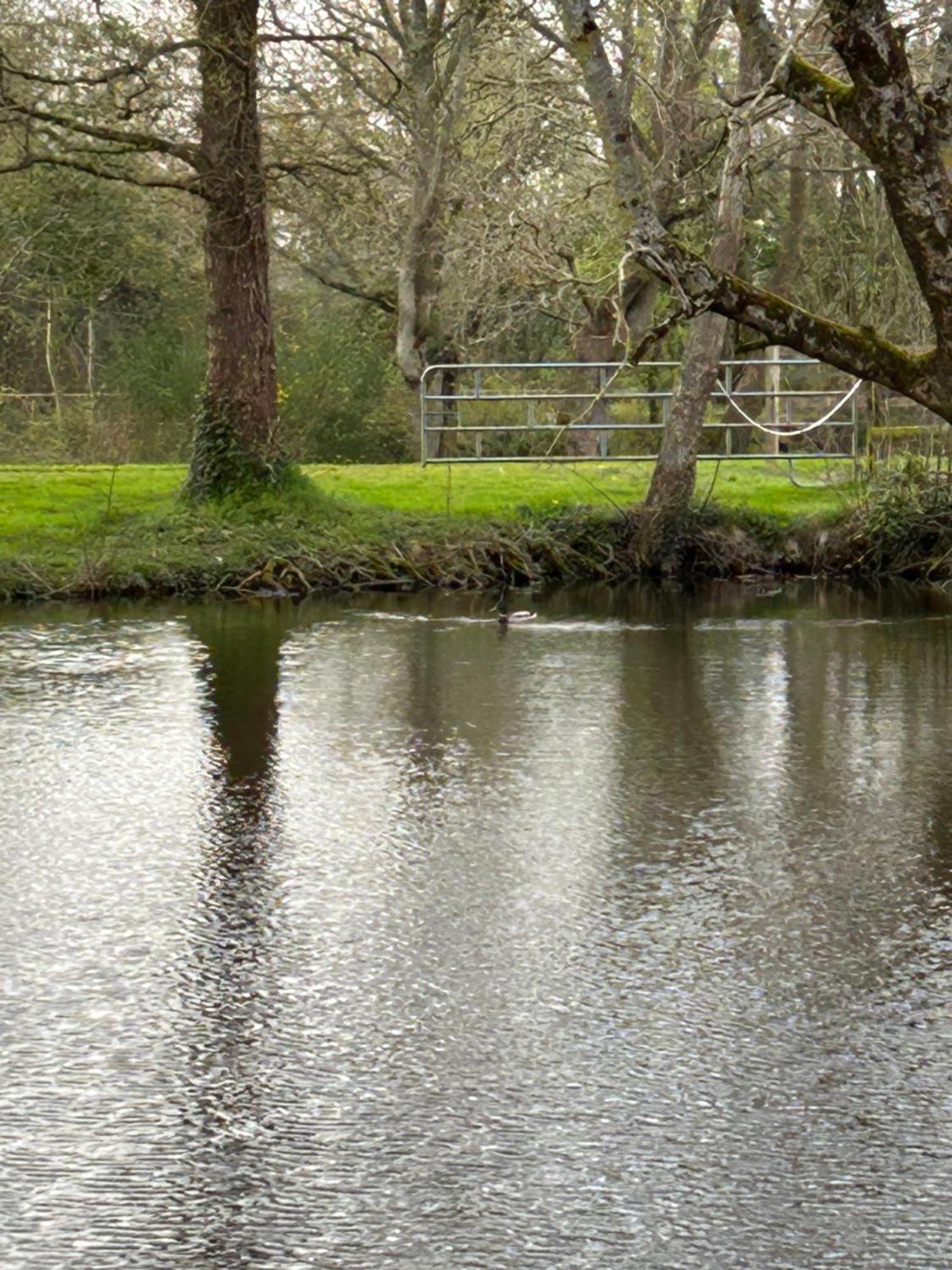 La Maison De L'Etang Manerbe エクステリア 写真