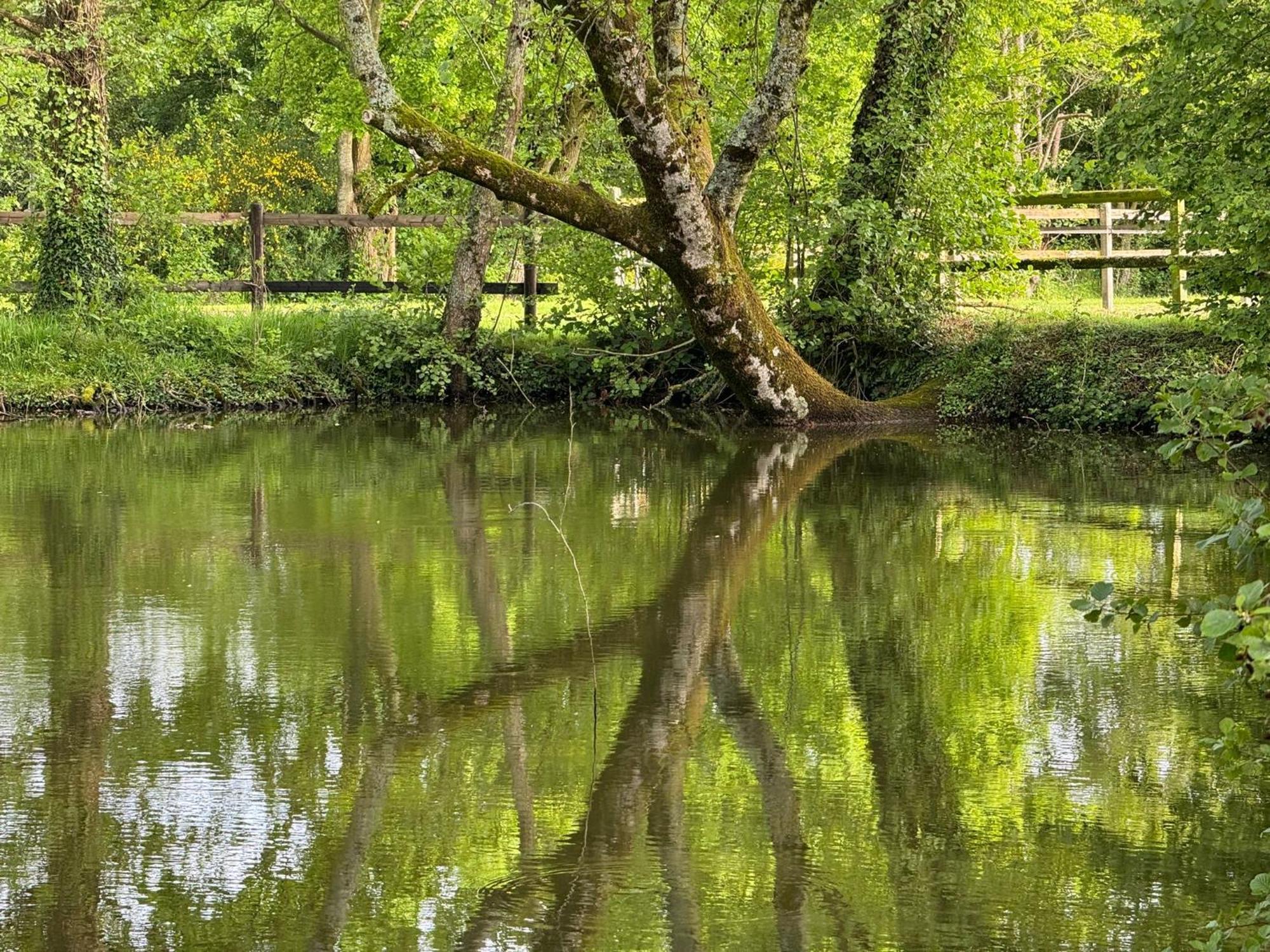 La Maison De L'Etang Manerbe エクステリア 写真